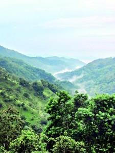 Magnificent views: Scenic misty hills