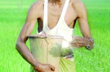 Farmer weeded out in Seed Act