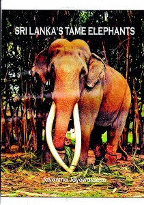 Elephant book cover pic