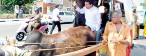 Who’s taking whom for a ride? A candidate on the campaign trail in Galle. Pic by D.G. Sugathapala