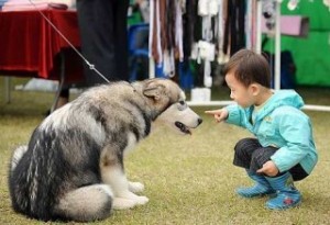 A new study claims that young people who care for an animal have stronger social relationships (AFP)