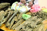 Wallapatta agarwood the new illegal million-rupee  racket