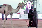 Saudi Arabia: The last of the Sudeiri Seven