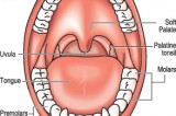 Take time for your teeth