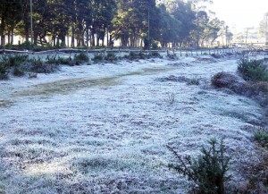 No, it’s not snow, the ground is covered with frost