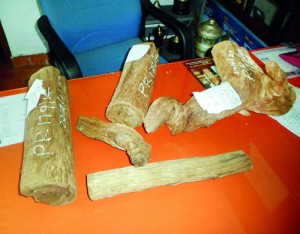 File picture of Walla Patta logs seized by the Police