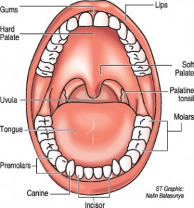 TeethGraphic
