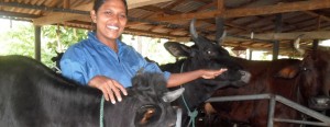 Samanlatha Athapattu and Wasantha Lal gave up their jobs in a garment factory to set up their own dairy farm