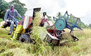 Sena Amaradasa: Squeezed between rising cost of living and low paddy prices