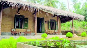 Eco chalets: Thatched roofs and clay brick walls