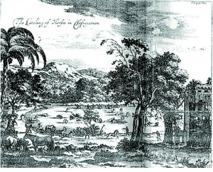 Drawing of the capture of horses in Jaffna observed by Baldeus (in 1672). This appears to be a scene in Delft. (Reproduced from the IUCN report)