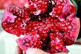 Pomegranate power: Fruit’s design used to create batteries