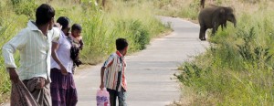 When their paths cross: VIllagers flee as they spot an elephant