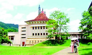 The Peradeniya campus: Then freshers walked without fear