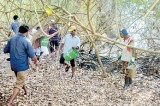 Fire at Anawilundawa destroys endemic plants and wild life