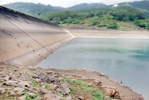 The lack of water in the Kotmale reservoir affects cultivation in the Polonnaruwa District. Pic by Suranga  Rajanayake