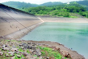 The lack of water in the Kotmale reservoir affects cultivation in the Polonnaruwa District. Pic by Suranga  Rajanayake