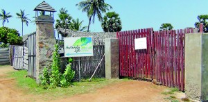 A hotel in Kalpitiya