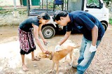 Human Rabies Deadly but preventable