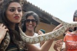 Indian beauties have a ball in Galle