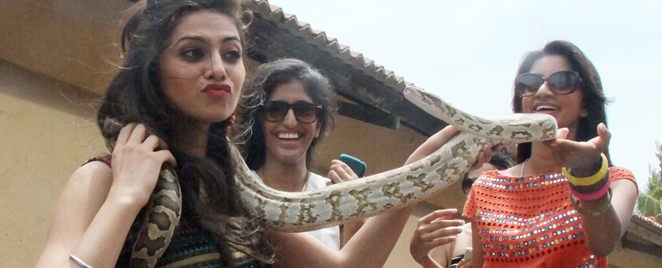Indian beauties have a ball in Galle