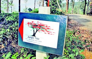 Signboard in a sea of tea