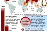 World execution toll rose in 2013: Amnesty