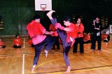 Spectators agog at martial arts display