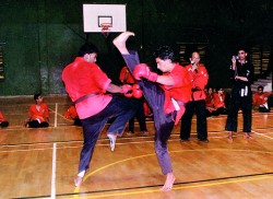 Spectators agog at martial arts display