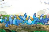 Macaw family’s adventure in Amazon