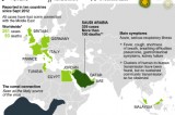 First US case of deadly MERS virus confirmed