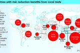 Lanka pinpointed as  winner if reefs conserved