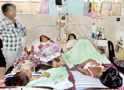 Dengue bedlam at Kalubowila