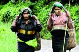 Continuing discrimination against Lanka’s tea plantation community
