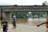 Expressways shoved through wetlands and now we face floods, group says