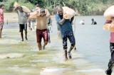 Working together to save their paddylands