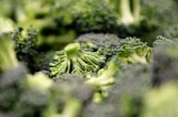 Eating broccoli can help asthma sufferers