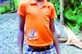 Student’s death fall from mango tree: Principal arrested
