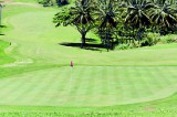 Junior Golf at Victoria