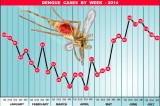 Dengue battle costing millions but it’s starting to work, say officials