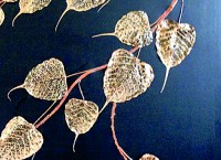 Leaves and bark  on black canvas