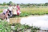 Only muddy water for Minneriya villagers