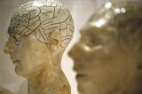 Myth that we use just 10% of our brains