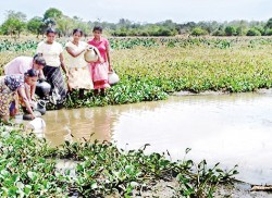 Only muddy water for Minneriya villagers