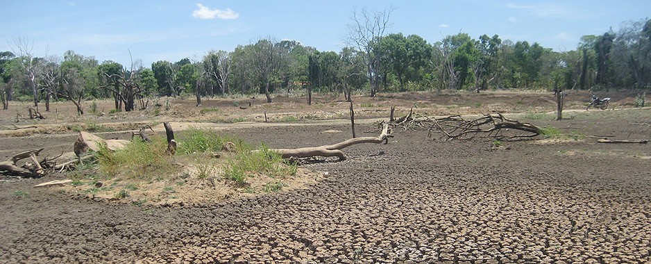 Despair reigns in drought-stricken areas