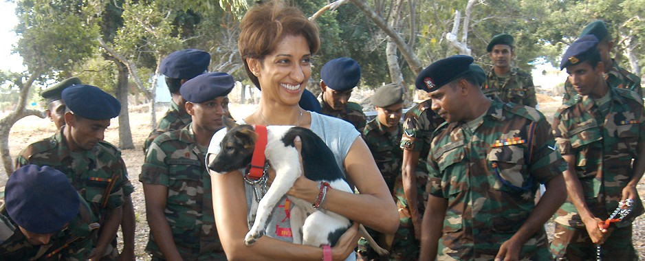 Jaffna street dogs have something  to wag their tails about