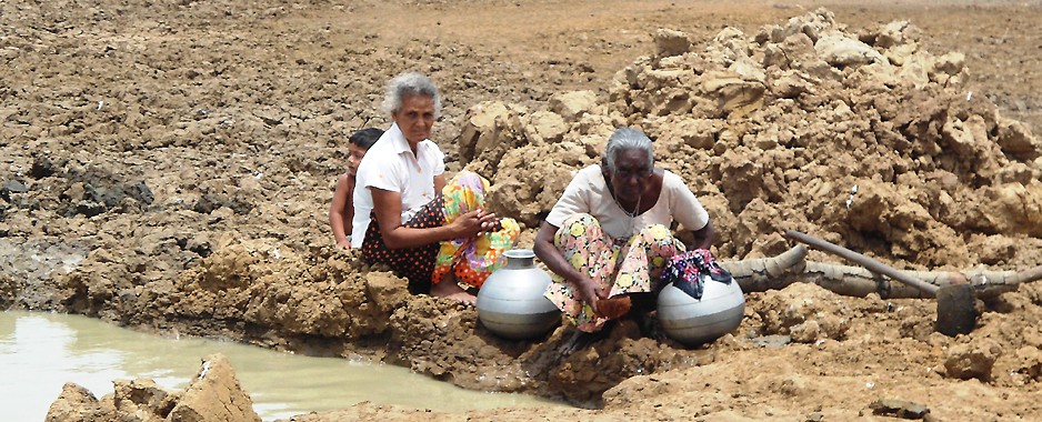 Families, animals, suffer in a parched land