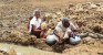 Families, animals, suffer in a parched land