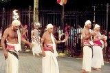 Kavikara Maduwa chief will sing no more