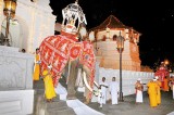 Stars of the Esala Perahera have no place to bathe